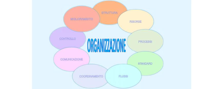 Organizzazione aziendale